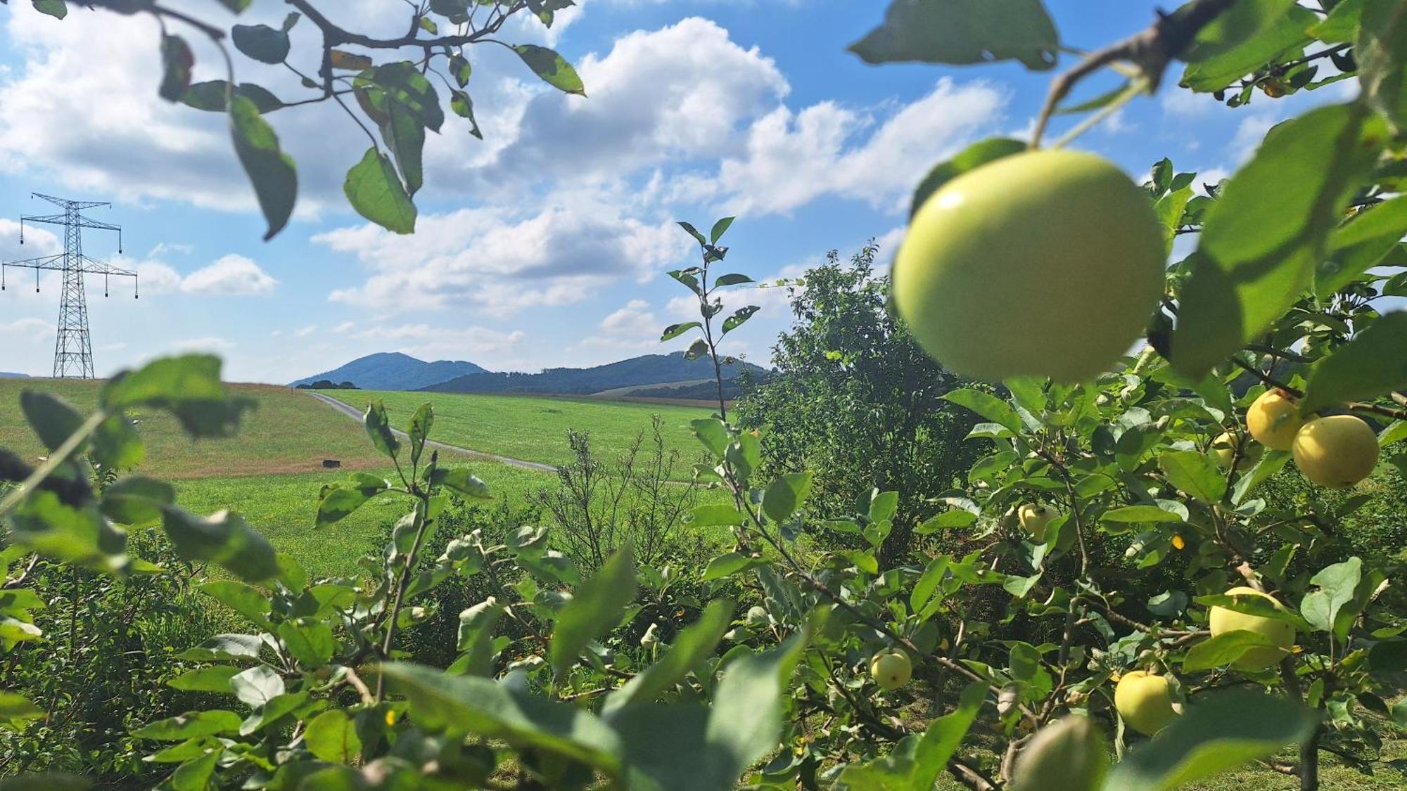 Domek Pod Jabloni Tichá Kültér fotó